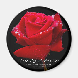 Rote Rose グ ネ Magnet