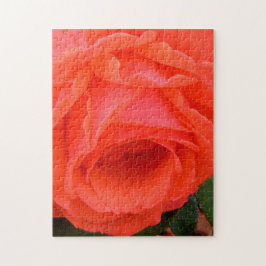 Rote Rose - 11x14 - 252 Stück Puzzle