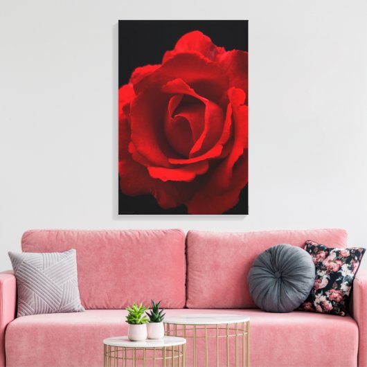 Rote Rose 16x24 (40x60cm) Waccna Leinwanddruck (Insitu (Wohnzimmer))