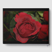 Rote Rose #1 Gästebuch (Rückseite)