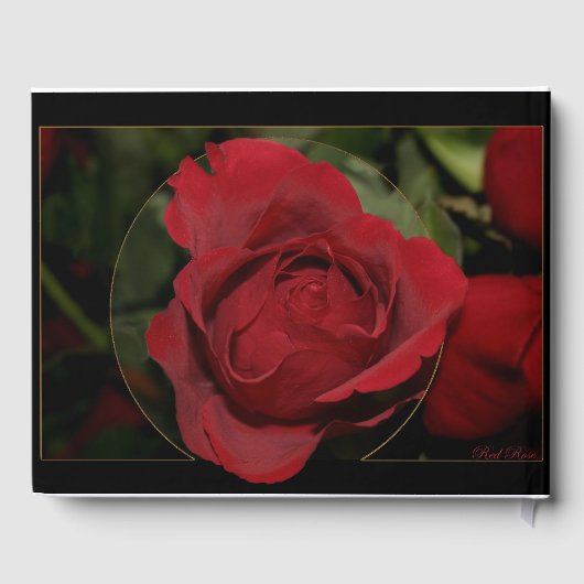 Rote Rose #1 Gästebuch (Rückseite)