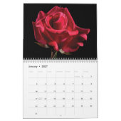 rote Rose 2025 Kalender (Jan 2027)