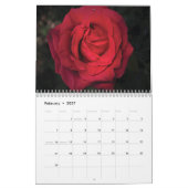 rote Rose 2025 Kalender (Feb 2027)