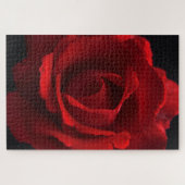 Rote Rose 20x30 1014pc jpcna Puzzle (Horizontal)