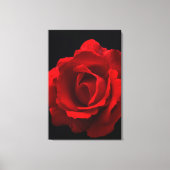 Rote Rose 24x36 (60x90cm) Waccnm Leinwanddruck (Vorderseite)