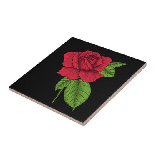 ROTE ROSE 2 FLIESE (Seite)