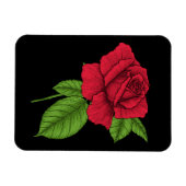 ROTE ROSE 2 MAGNET (Horizontal)