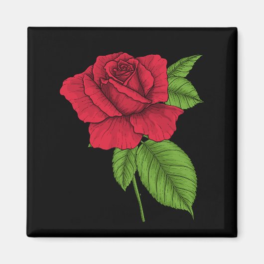 ROTE ROSE 2 MAGNET (Vorne)