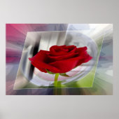 Rote Rose 2 Poster (Vorne)