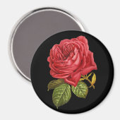 Rote Rose 3" Rundmagnet Magnet (Vorderseite/Rückseite)