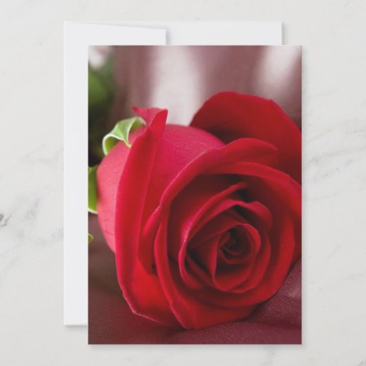 rote Rose 5" x 7" Basiskarte (Vorderseite)