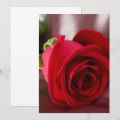 rote Rose 5" x 7" Basiskarte (Vorne/Hinten)