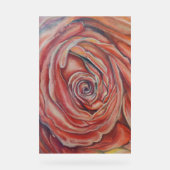 Rote Rose Acrylschild (Vorderseite)
