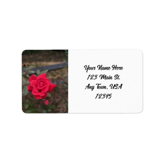 Rote Rose Adressaufkleber (Vorne)