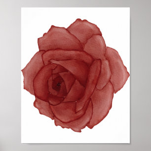 Rote Rose Aquarellfläche Links Poster