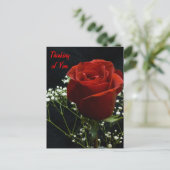 rote Rose Artikel Postkarte (Stehend Vorderseite)