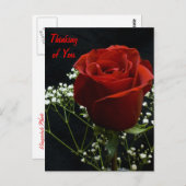 rote Rose Artikel Postkarte (Vorne/Hinten)