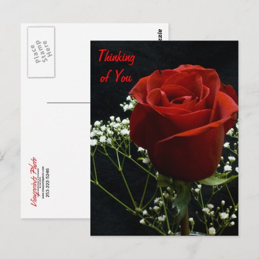 rote Rose Artikel Postkarte (Vorne/Hinten)