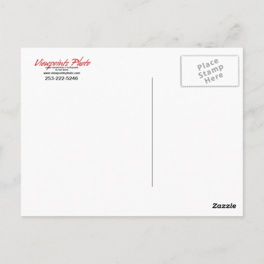 rote Rose Artikel Postkarte (Rückseite)