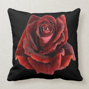 Rote Rose auf dem Schwarzen Kissen