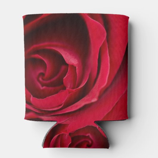 Rote Rose auf einem Dosenkühler (Rückseite)