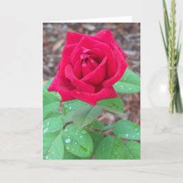 Rote Rose auf einem leeren Notecard Dankeskarte