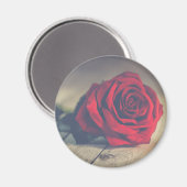 Rote Rose auf Holzböden Kunstdrucken Magnet (Vorderseite/Rückseite)