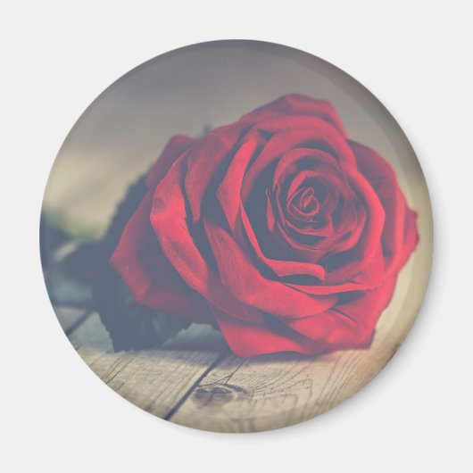 Rote Rose auf Holzböden Kunstdrucken Magnet (Vorne)