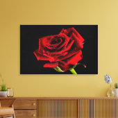 Rote Rose auf Schwarz mit Wassertropfen Foto Leinw Leinwanddruck (Insitu (Wohnzimmer))