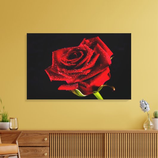 Rote Rose auf Schwarz mit Wassertropfen Foto Leinw Leinwanddruck (Insitu (Wohnzimmer))