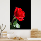 Rote Rose auf schwarz Poster (Küche)