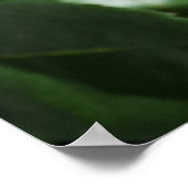 Rote Rose auf schwarz Poster (Ecke)