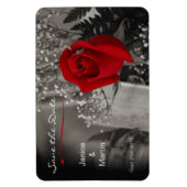Rote Rose auf Schwarz und Weiß Save the Date Magnet (Vertikal)