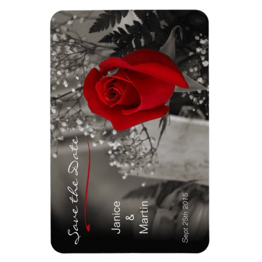 Rote Rose auf Schwarz und Weiß Save the Date Magnet (Vertikal)