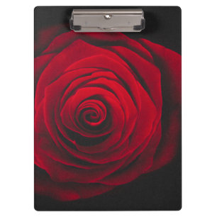 Rote Rose auf schwarzem Hintergrund mit Vintage-Ef Klemmbrett