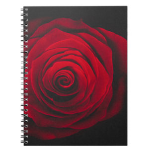 Rote Rose auf schwarzem Hintergrund mit Vintage-Ef Notizblock