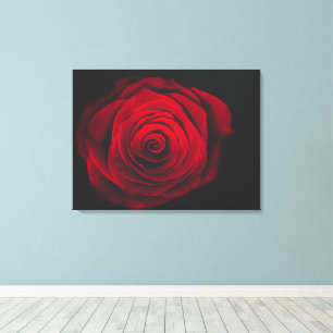 Rote Rose auf schwarzem Hintergrund Vintage-Effekt Leinwanddruck