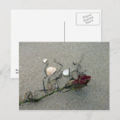 rote Rose auf See verloren Postkarte (Vorne/Hinten)