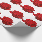 Rote Rose auf Weiß Geschenkpapier (Ecke)