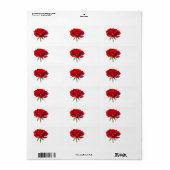 Rote Rose auf Weiß - Vorlage für benutzerdefiniert Adressaufkleber (Vorne)