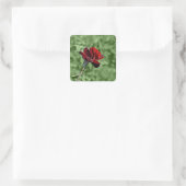 Rote Rose Aufkleber (Tasche)