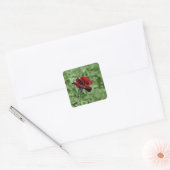 Rote Rose Aufkleber (Umschlag)