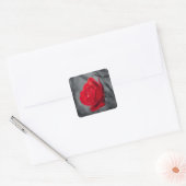 Rote Rose Aufkleber (Umschlag)