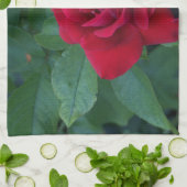 Rote Rose aus der Nähe Geschirrtuch (Gefaltet)