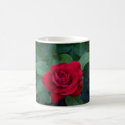 Rote Rose aus der Nähe Kaffeetasse (Mittel)