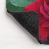 Rote Rose aus der Nähe Mousepad (Ecke)