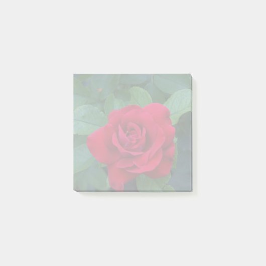 Rote Rose aus der Nähe Post-it Klebezettel (Vorderseite)