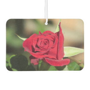 Rote Rose Autolufterfrischer