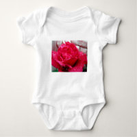 Rote Rose