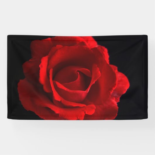 Rote Rose Banner (Horizontal)